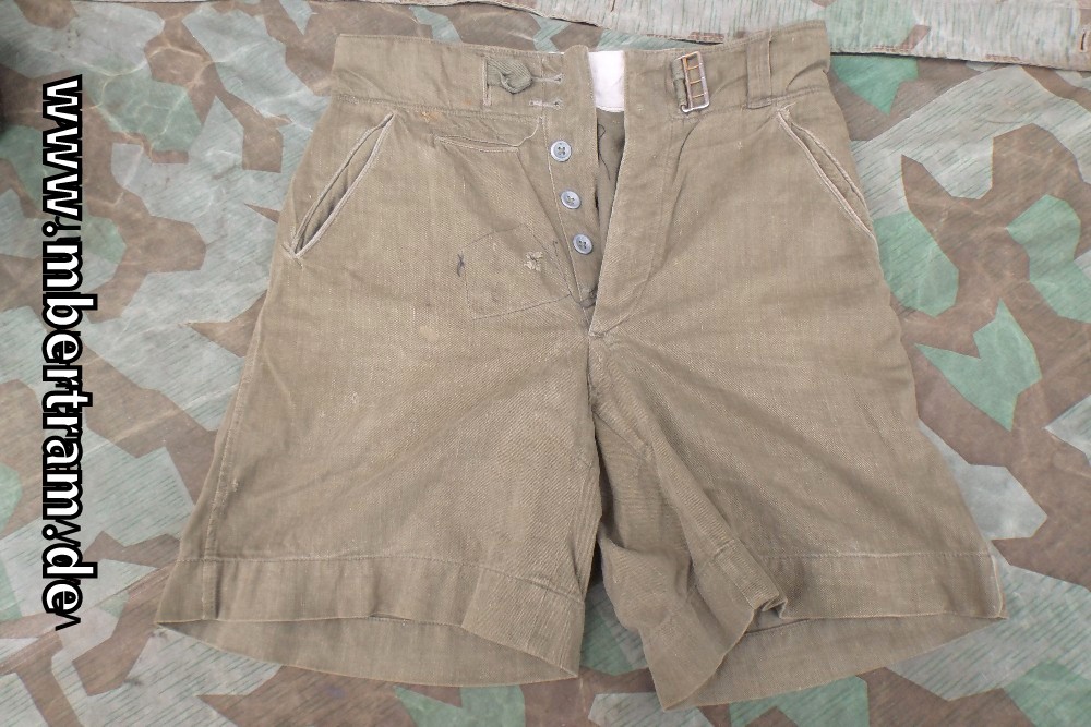 Afrikakorps kurze, schilfgrüne Hose