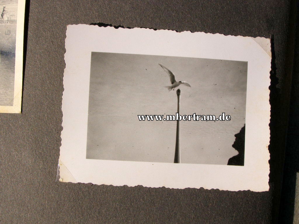 13620-9 Dienstzeit Fotoalbum U 552, Kommandant Erich Topp SELTEN !