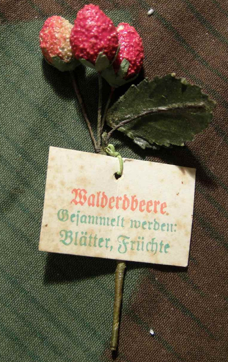 "Walderdbeere" WHW Reichsstrassensammlung März 1942