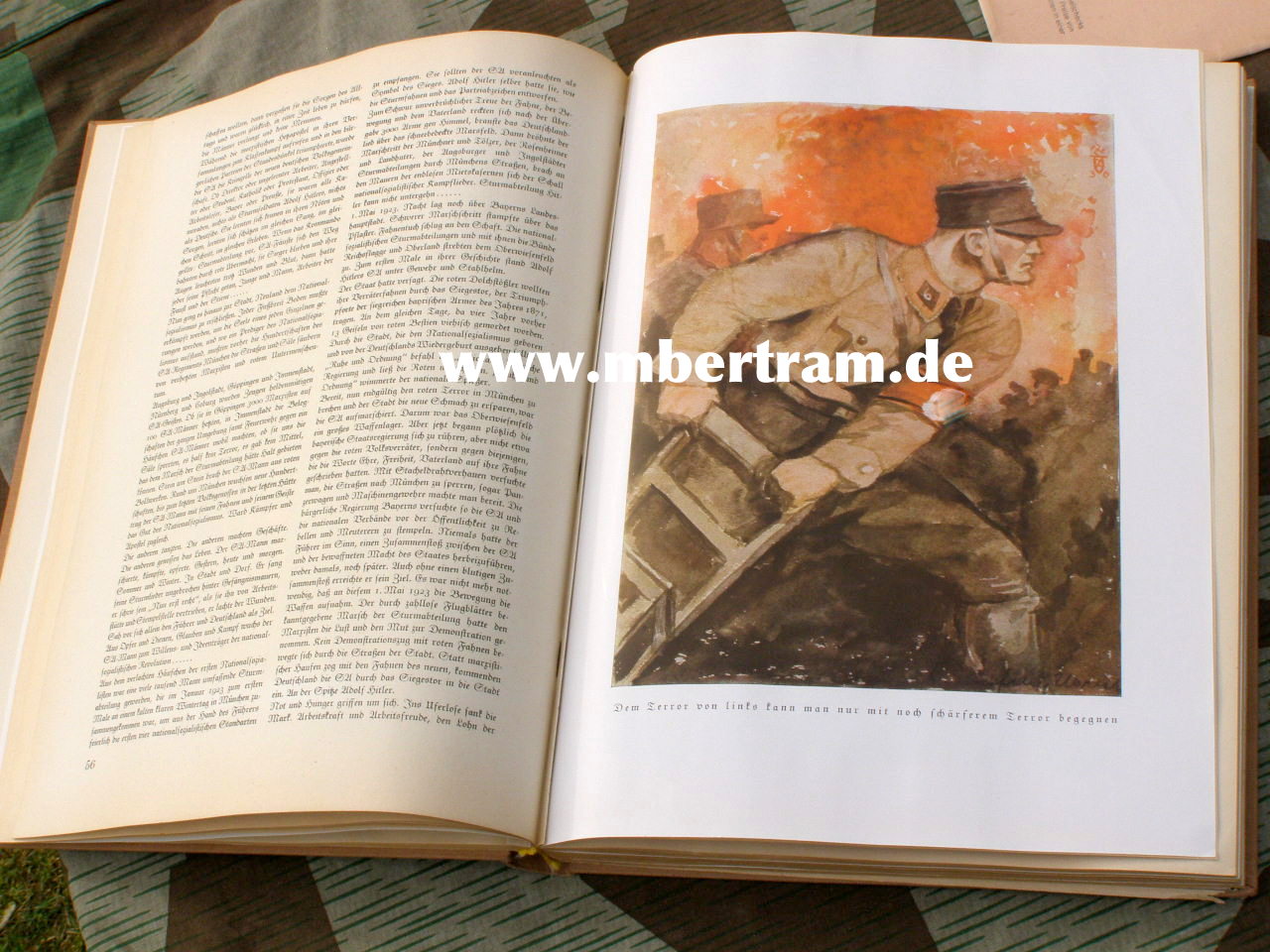 10928-8 "Deutschland Erwacht". Bilderdienst Altona,1933, 2 Tüten