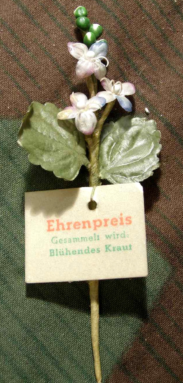 "Ehrenpreis" WHW Reichsstrassensammlung März 1942