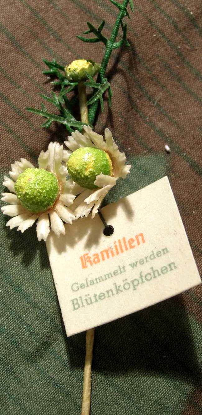 "Kamillen" WHW Reichsstrassensammlung März 1942