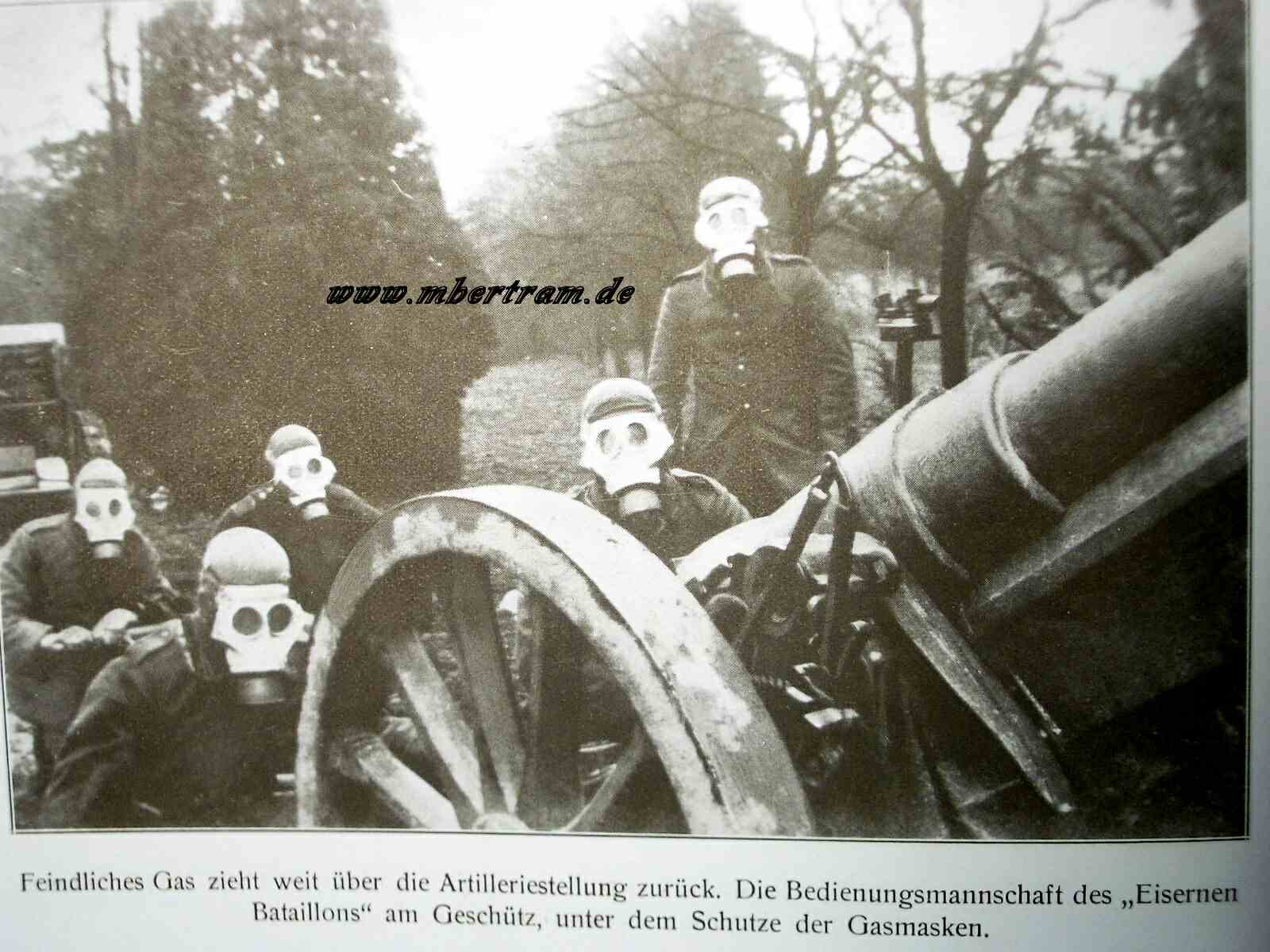 Der Weltkrieg in seiner rauhen Wirklichkeit 500 Frontbilder