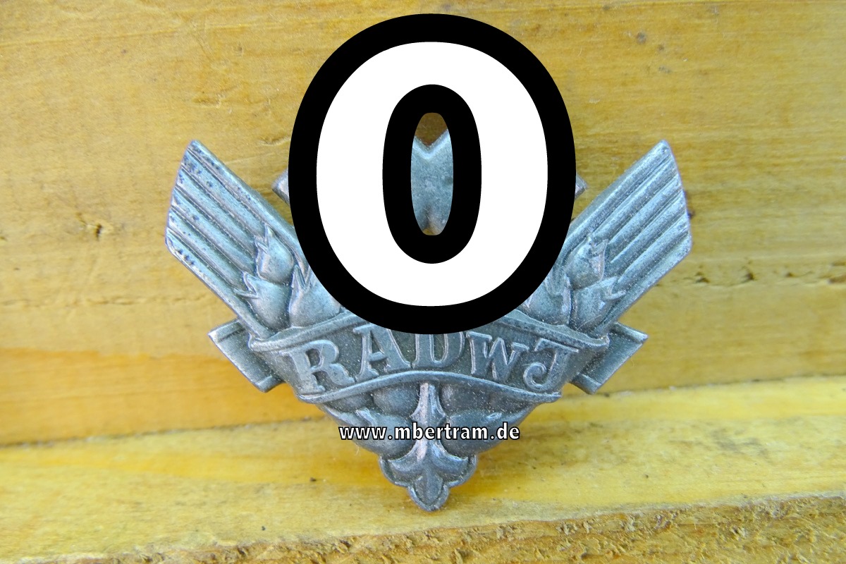 Reichsarbeitsdienst der weiblichen Jugend ( RAD/wJ ),  Brosche für Kriegshilfsdienst