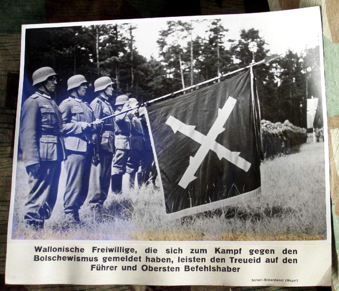 Pressefoto 17x24, Wallonische Freiwillige werden vereidigt