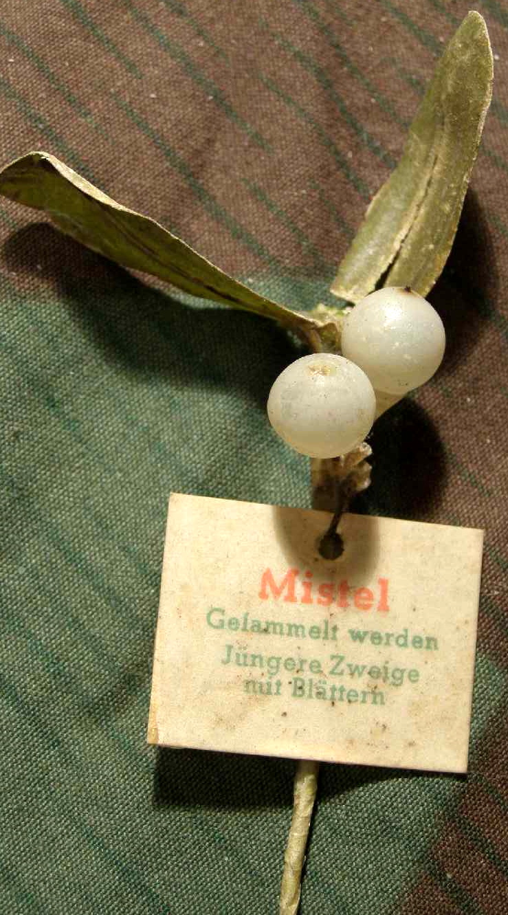 "Mistel" WHW Reichsstrassensammlung März 1942
