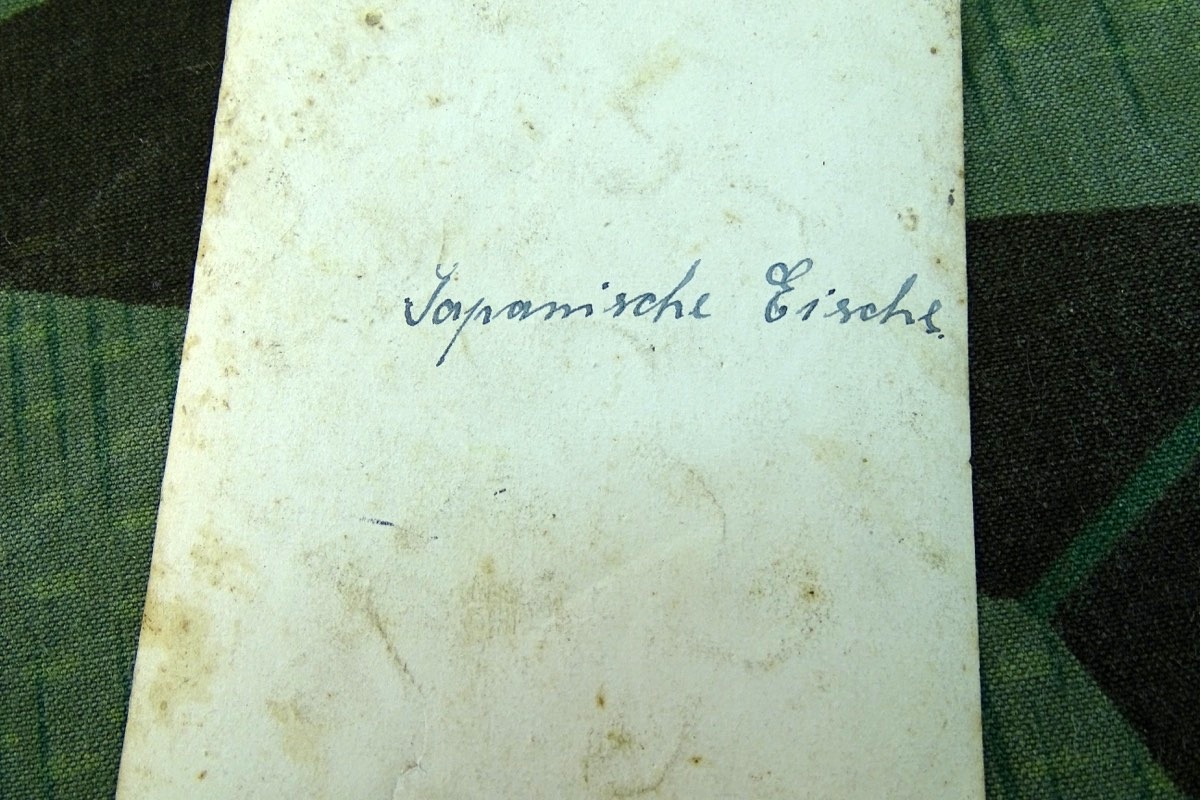17797-3 Foto Nachlass eines ehem. Angehörigen der kaiserlichen Kolonialtruppe Tsingtau