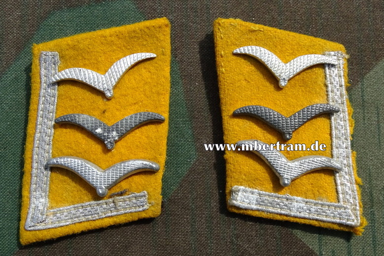 Paar Kragenspiegel, Luftwaffe, Feldwebel fliegende Truppe