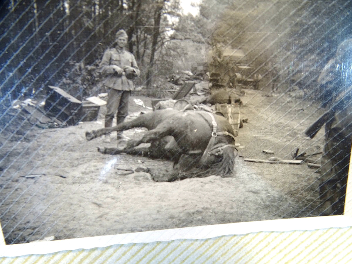 Dienstzeit Fotoalbum 187 Bilder , Schützen Rgt. 4 Wuppertal, RAD Zeit und Westfeldzug, Polen Dienstzeit Fotoalbum 187 Bilder , Schützen Rgt. 4 Wuppertal, RAD Zeit und Westfeldzug, Polen