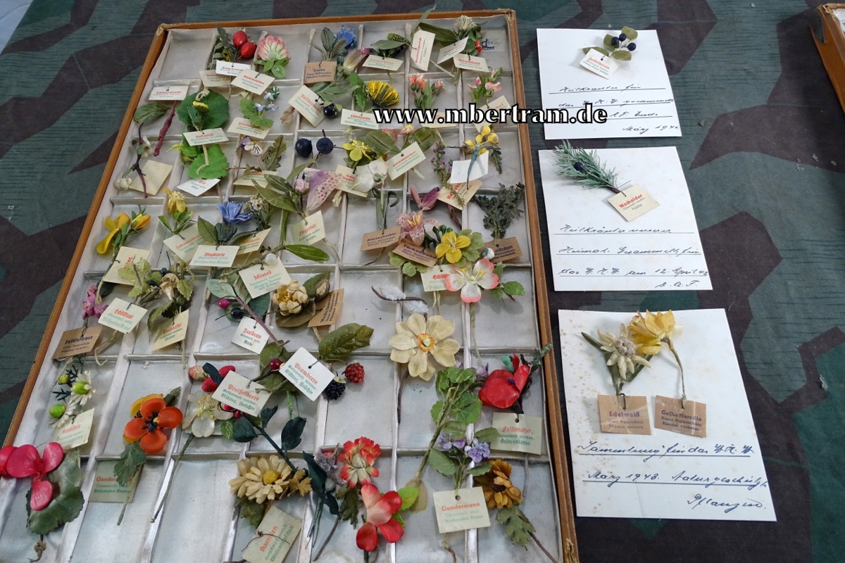 WHW - , verschiedene Jahre, ca. 48 Wachspapierblumen mit Textkärtchen