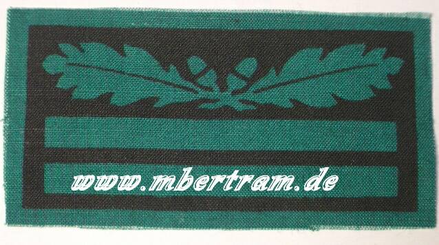 Dienstgradabzeichen für Sonderbekleidung, Oberleutnant