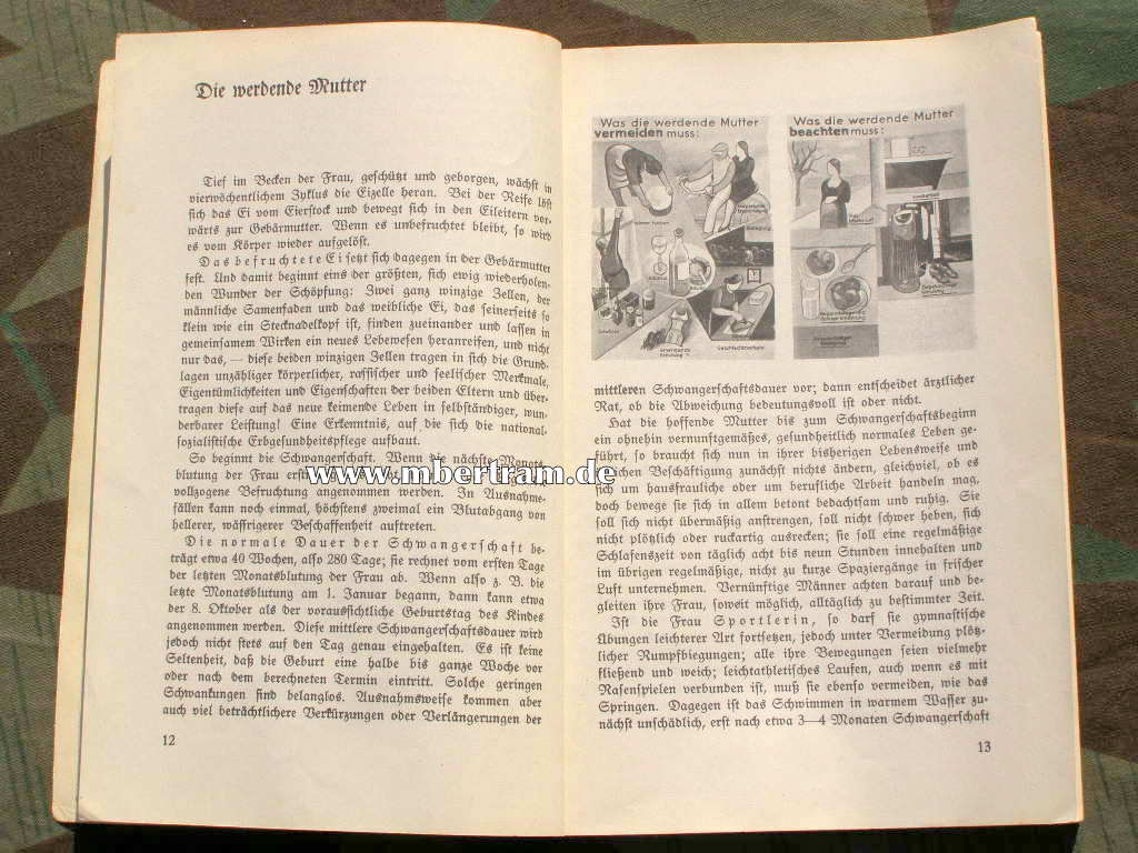 Ein Ratgeber für alle Fragen der werdenden Mutter 1936