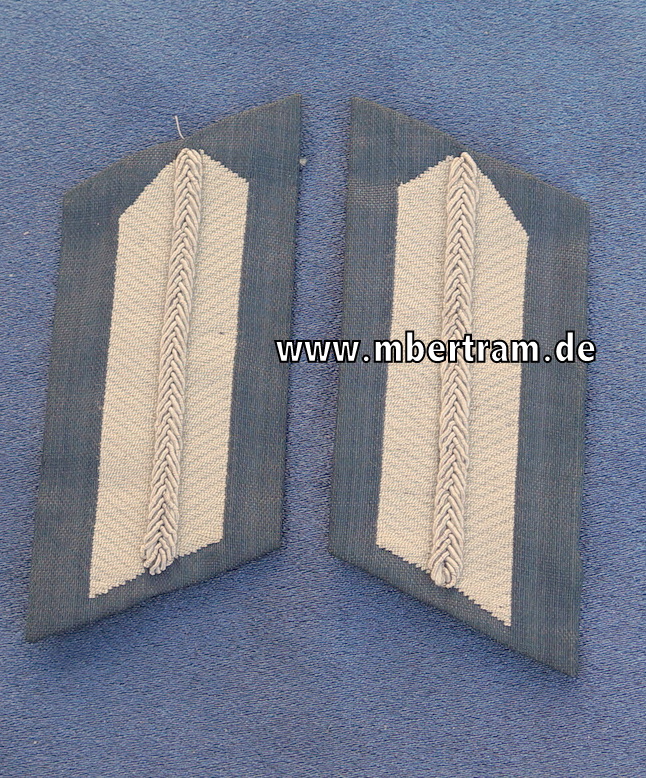 Paar Kragenspiegel Reichsarbeitsdienst (RAD)