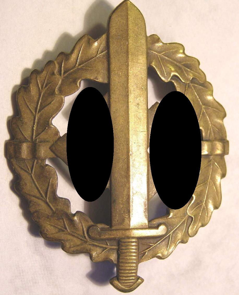 SA SPORTABZEICHEN BRONCE G. Schneider Lüdenscheid