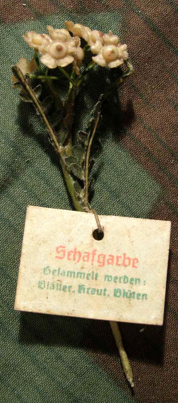 "Schafgarbe" WHW Reichsstrassensammlung März 1942