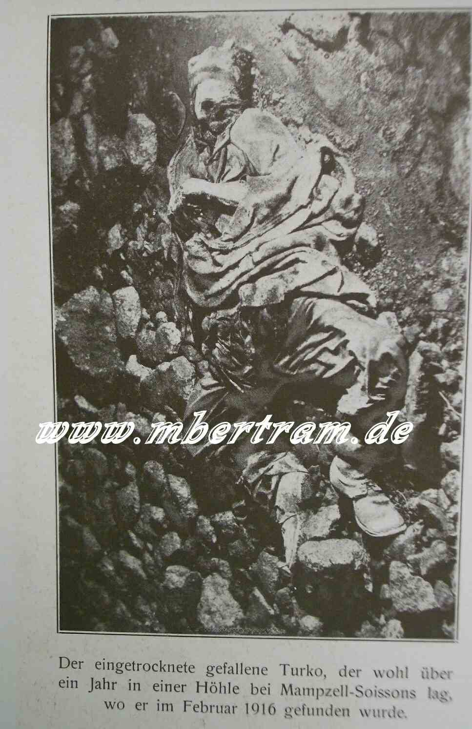 Der Weltkrieg in seiner rauhen Wirklichkeit 500 Frontbilder