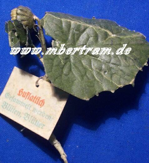 WHW Abz. "Huflattich" März 1942.