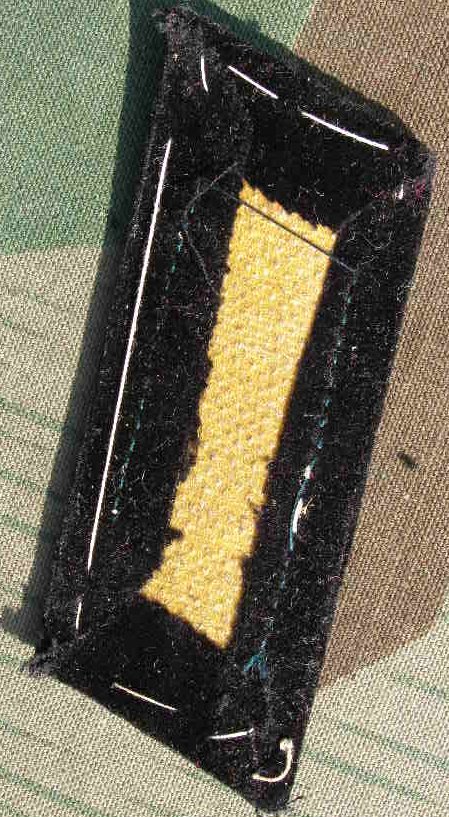 Einzel Kragenspiegel Bahnschutzpolizeianwärter