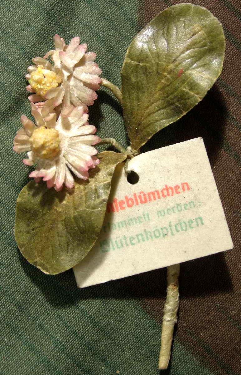 Gänseblümchen, WHW Reichsstr.sammlung März 1942