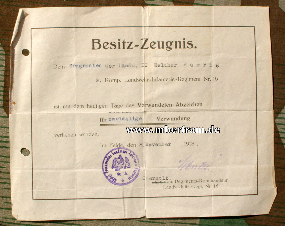 11280-20 11. Comp. Inf. Rgt. v.d. Marwitz, 8. pom. No. 61, Thorn, 1901
