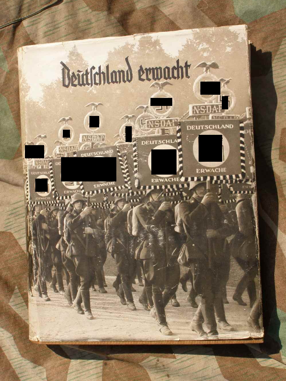"Deutschland Erwacht". " RÖHMAUSGABE" Schutzeinband