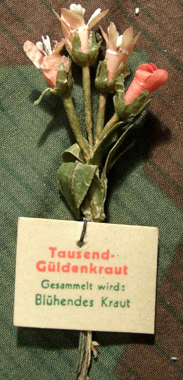 Tausend-Güldenkraut, WHW Reichsstr.samml. März 1942