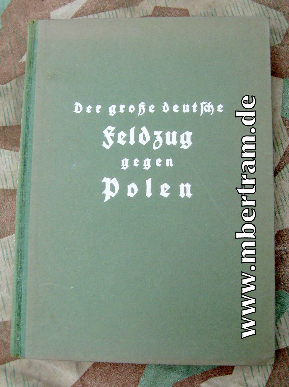 Hoffmann: DER GROSSE DEUTSCHE FELDZUG GEGEN POLEN