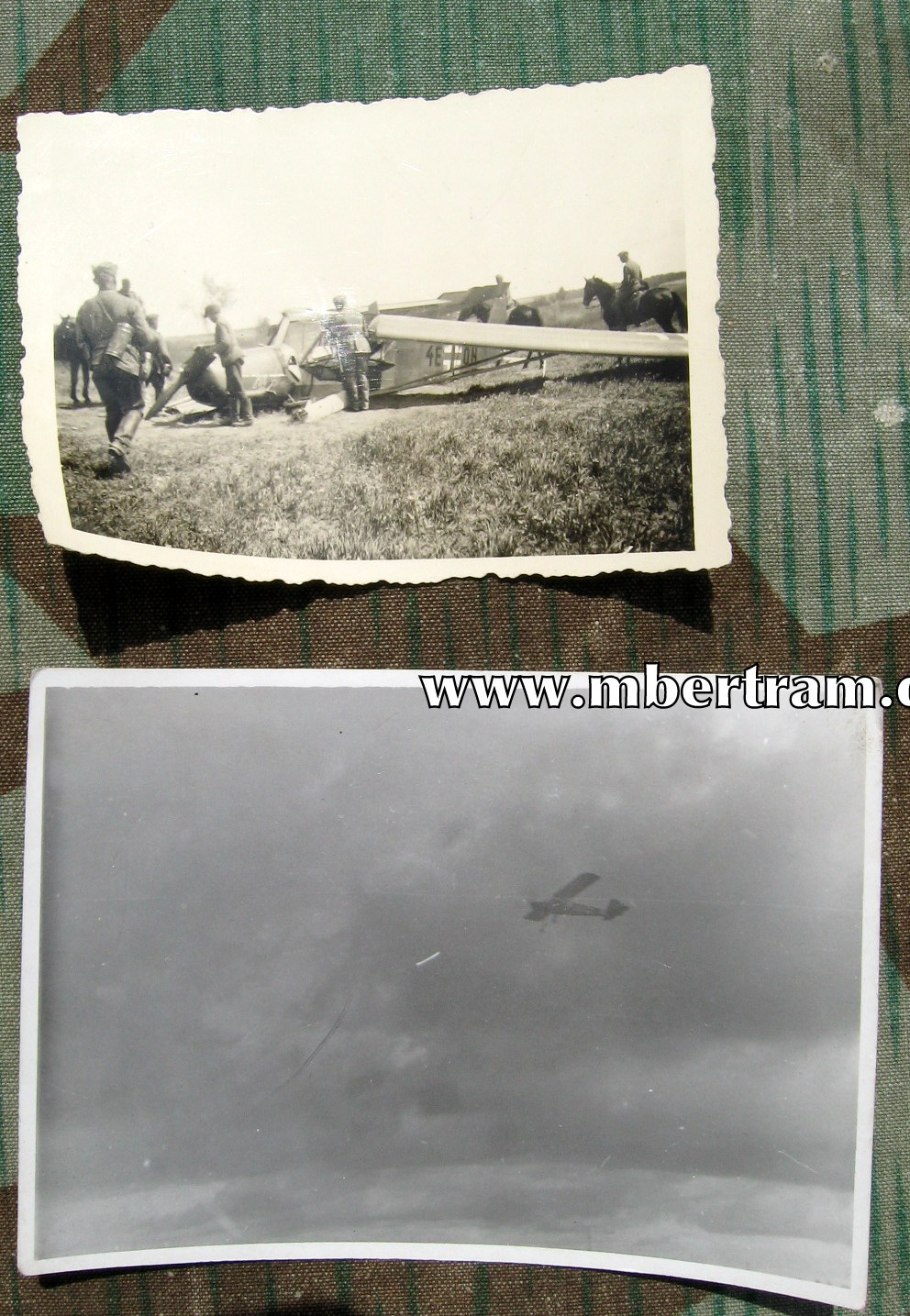 Foto notgelandeter und fliegender Fieseler Storch