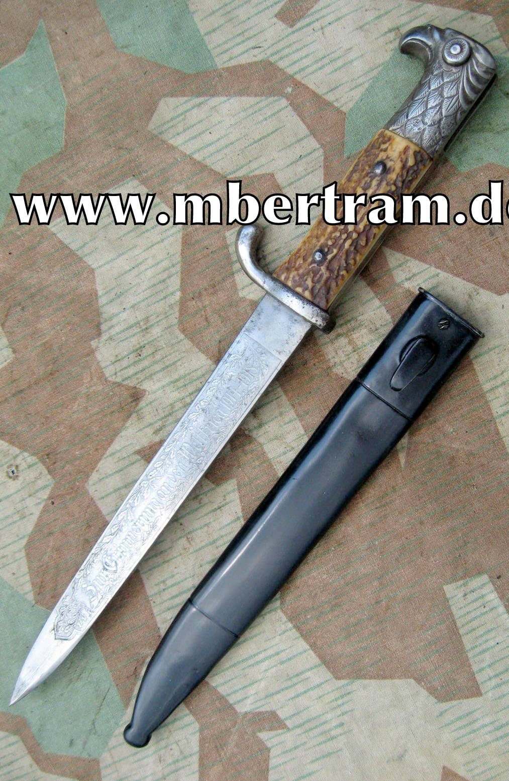 Offiziersgeschgenk Extra Seitengewehr, Schmuckkätzung.