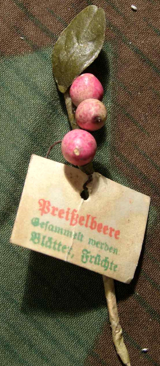 "Preißelbeere" WHW Reichsstrassensammlung März 1942