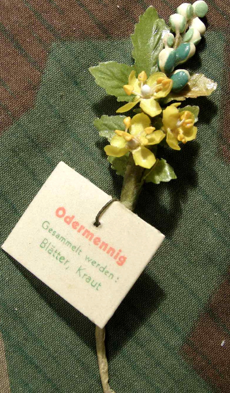 "Odermennig" WHW Reichsstrassensammlung März 1942