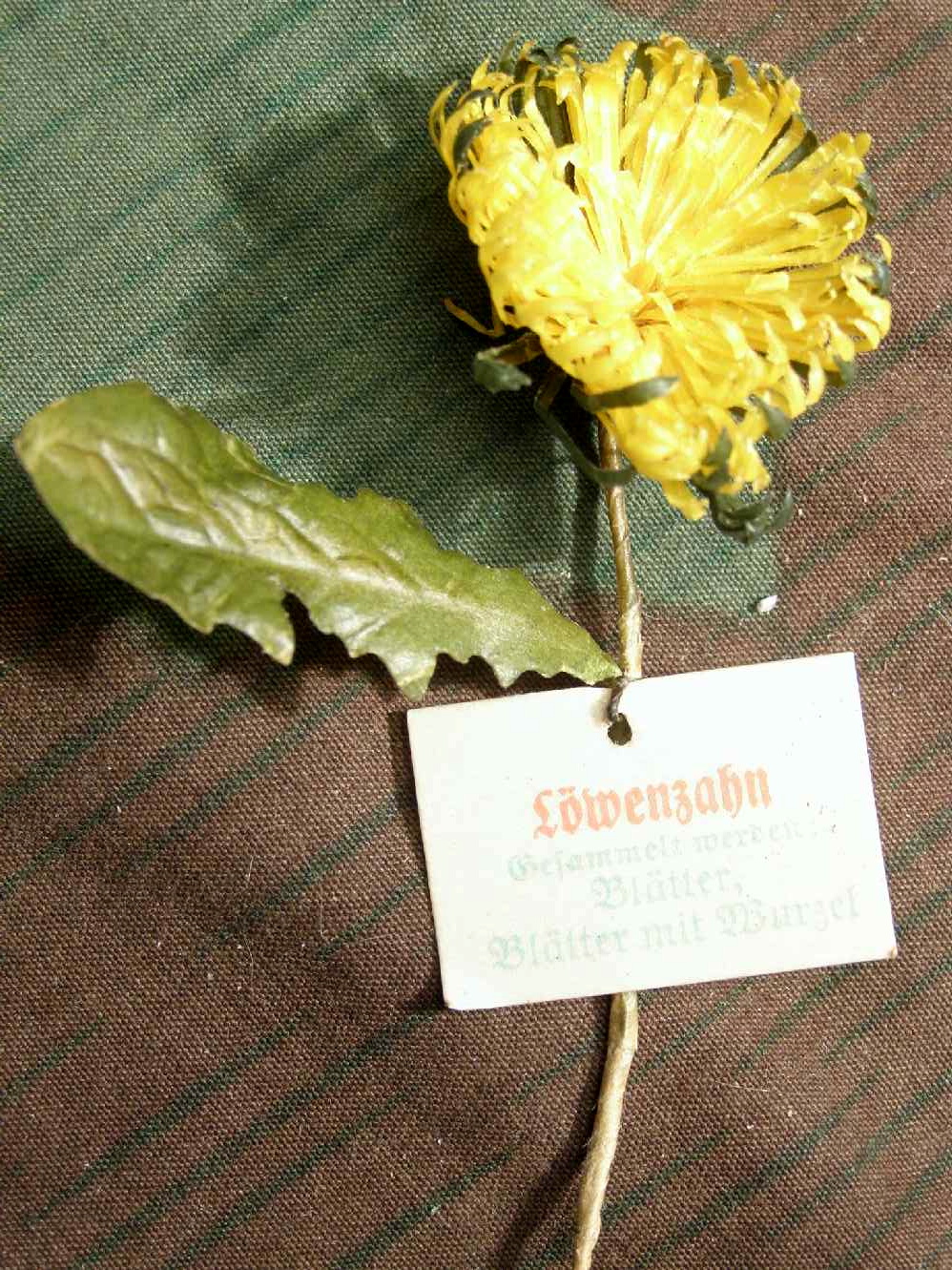 "Löwenzahn" WHW Reichsstrassensammlung März 1942
