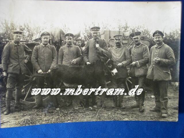 Portraitfoto: 7 Uffz./ Feldwebel 1. WK, feldgraue Uniform