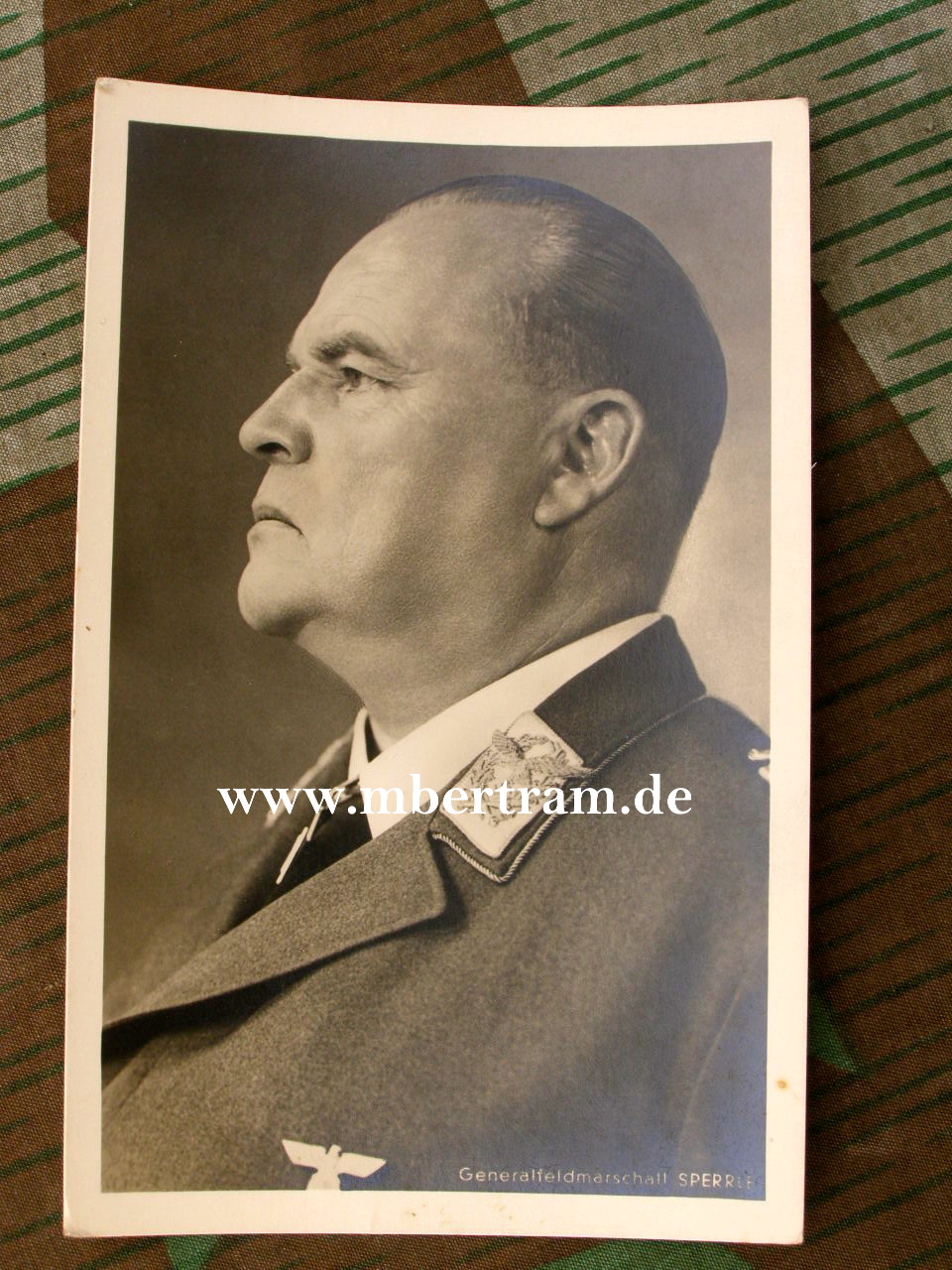 Luftwaffe Ritterkreuzträger: "Generalfeldmarschall Sperrle"