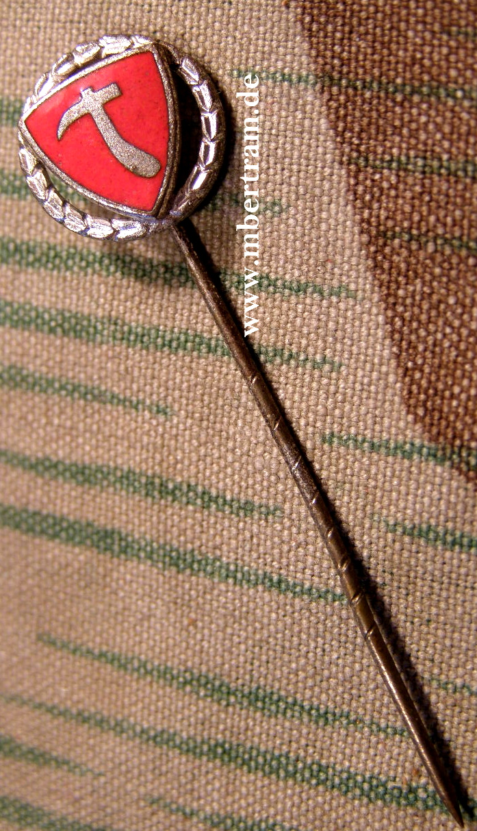 Regimentsabzeichen "Bergmann Division" ( 137. Inf. Div.)