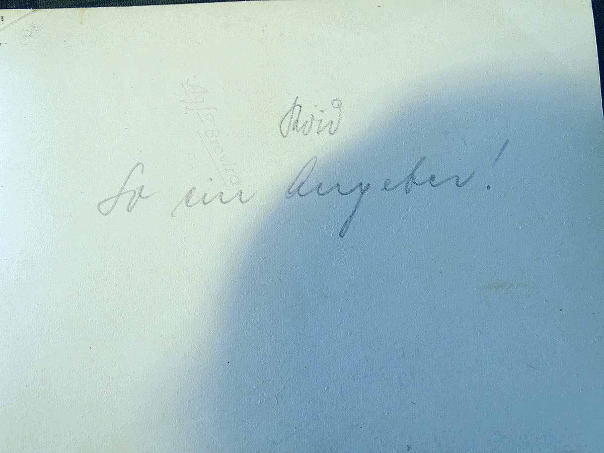 2 Schöne Portraitaufnahmen eines Oberleutnants der Flak, Flakkampfabz. Schirmmütze, Fellmütze
