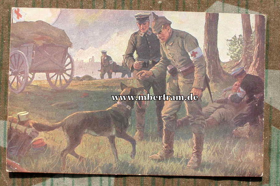 Bunte 1. WK Postkarte 1916 " Sanitäts Hund im Einsatz"