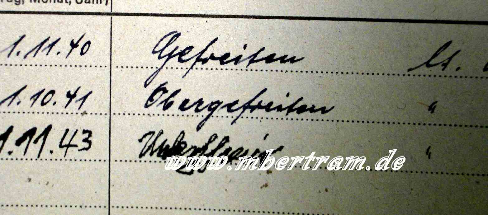 1310-8 8. LW Felddivision Wehrstammbuch 98K, P08, MG 17,15, 42